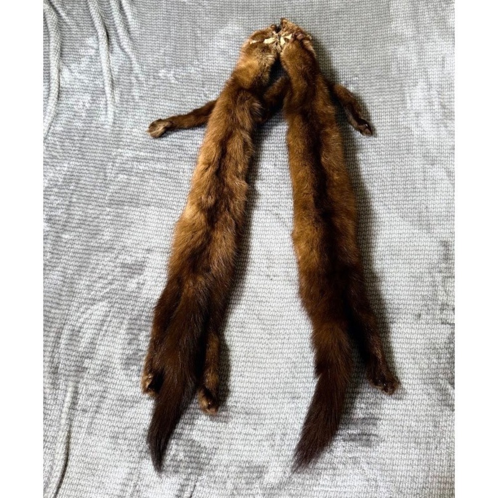 Vintage Genuine Mink Fur Full Body Two Pelt Scarf Wrap Stole Brown 32 Inch